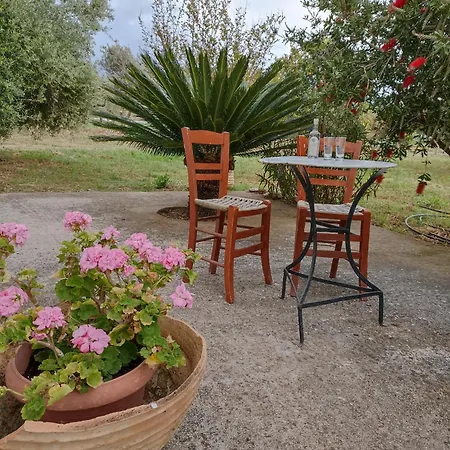 Olive Tree Ferienhaus