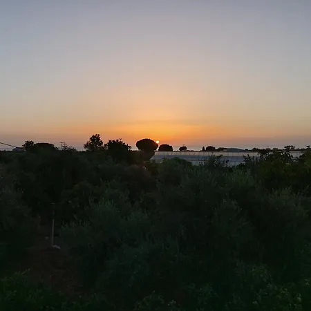 Olive Tree Ferienhaus
